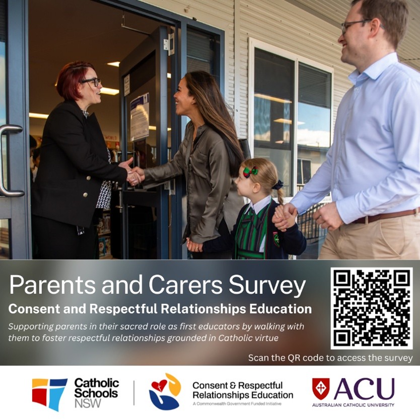 Parents and Carers Survey - 25 