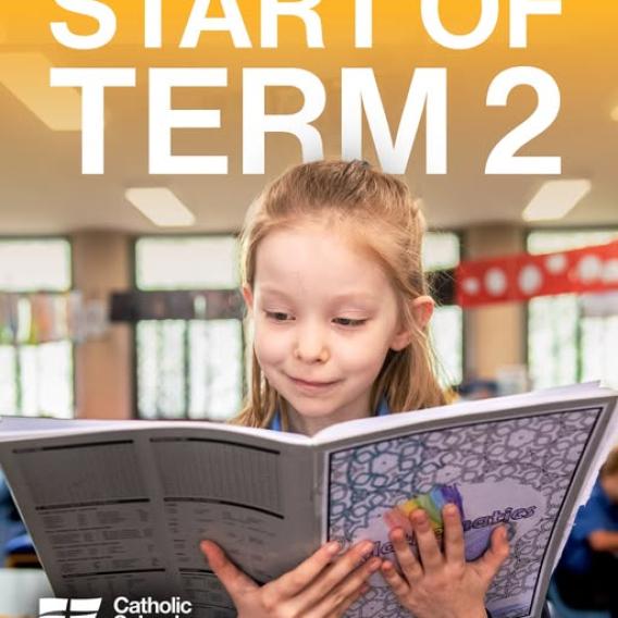T 2