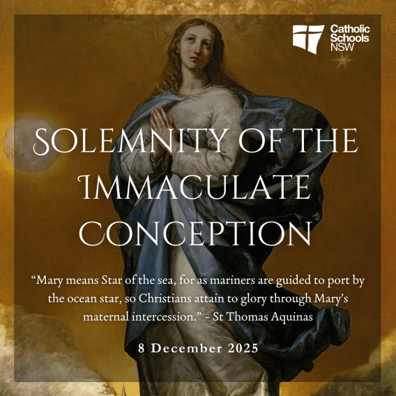 Solemnity of the Immaculate conception 2025 